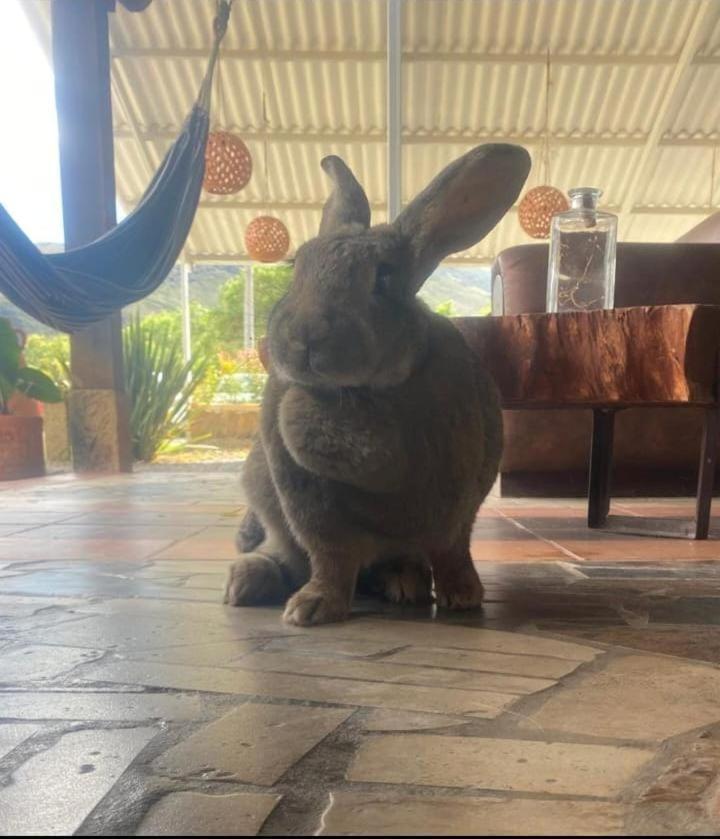 Hotel Entre Sombreros Villa de Leyva Zewnętrze zdjęcie